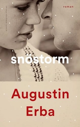 Snöstorm; Augustin Erba; 2019