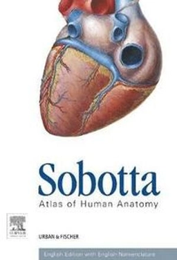 Sobotta Atlas of Human Anatomy, Package, 15th ed., English; Paulsen Friedrich; 2013