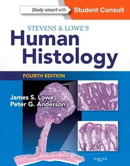 Stevens & Lowe's human histology; J. S. Lowe; 2015