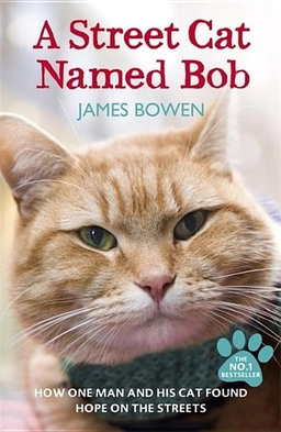 Street cat named bob - how one man and his cat found hope on the streets; James Bowen; 2012