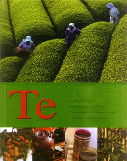 Te; Viola von Wachendorf; 2007