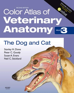 The dog and cat; Stanley Done; 2009