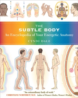 The subtle body : an encyclopedia of your energetic anatomy; Cyndi Dale; 2009