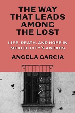 The way that leads among the lost : life, death, and hope in Mexico City's anexos; Angela Garcia; 2024