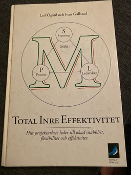 Total inre effektivitet hur projektarbetet leder till ökad; Leif Ögård; 1994