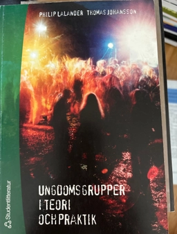 Ungdomsgrupper i teori och praktik; P Lalander, T Johansson; 2002