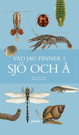 Vad jag finner i sjö och å; Nikolaj Scharff; 2009