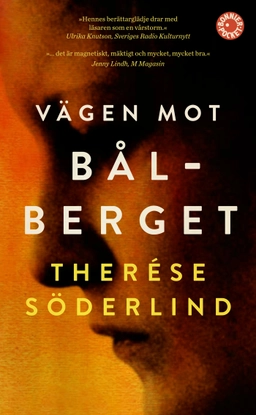 Vägen mot Bålberget; Therése Söderlind; 2013