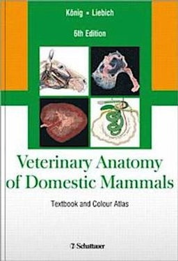 Veterinary anatomy of domestic mammals : textbook and colour atlas ; with at total of 1089 figures, including 991 colour figures and 105 reproductions of imaging procedures, as well as 53 tables; Horst Erich König, Hermann Bragulla, Eva Posterer; 2014