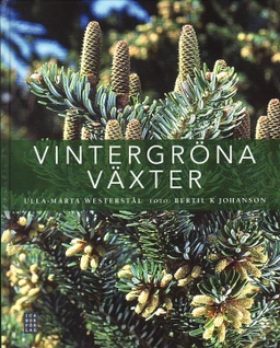 Vintergröna växter; Ulla-Märta Westerstål, Bertil K. Johanson; 2010