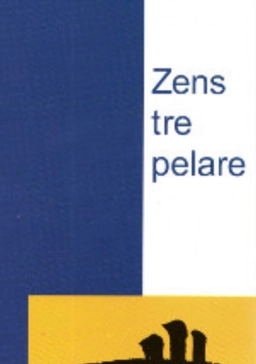 Zens tre pelare : undervisning, utövning och upplysning; Philip Kapleau, Kjell Liberg; 1995