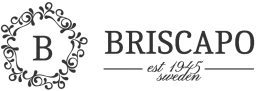 Briscapo logotyp - Studenterbjudande