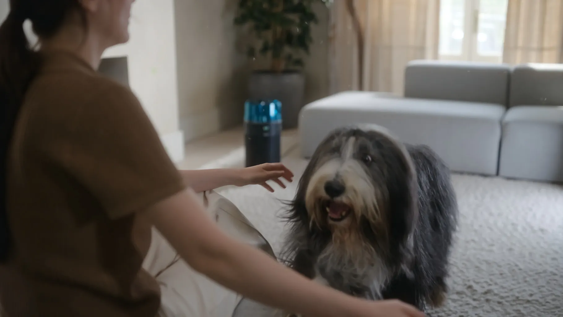 Alla studentrabatter hos Dyson