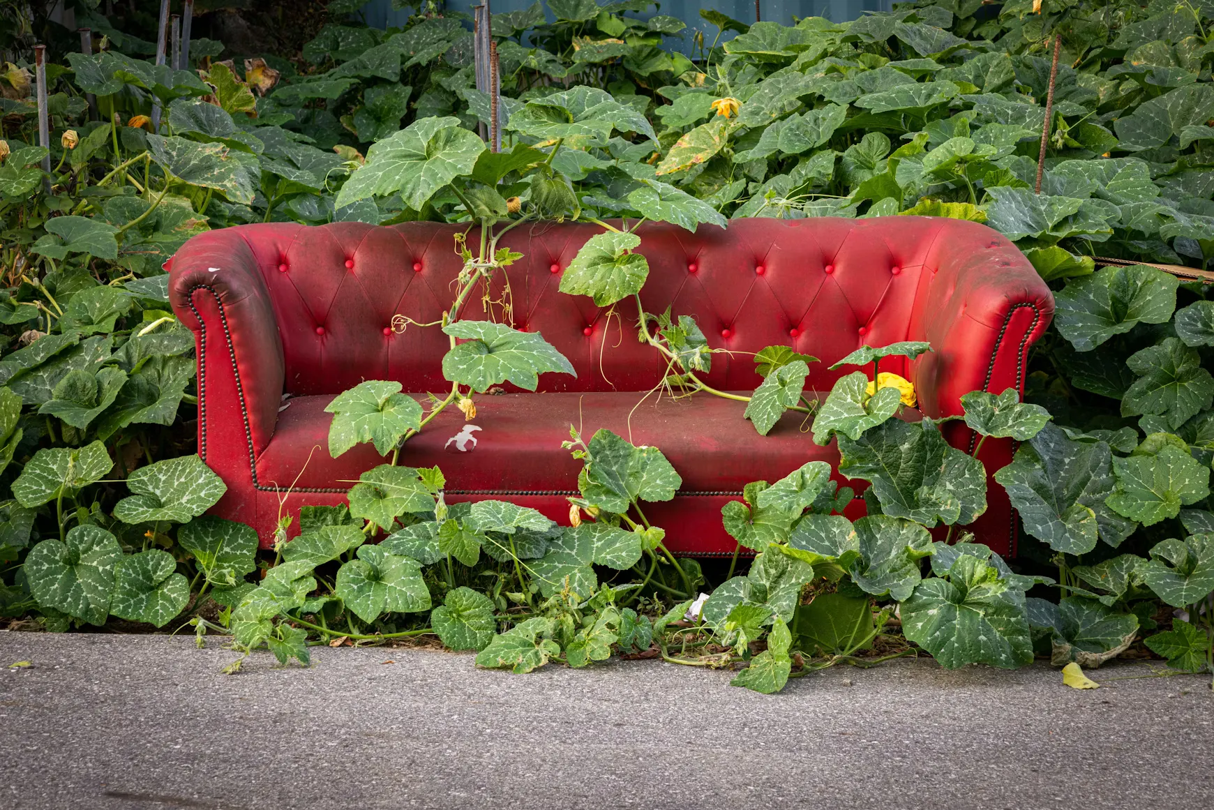 Alla studentrabatter hos Tiptapp