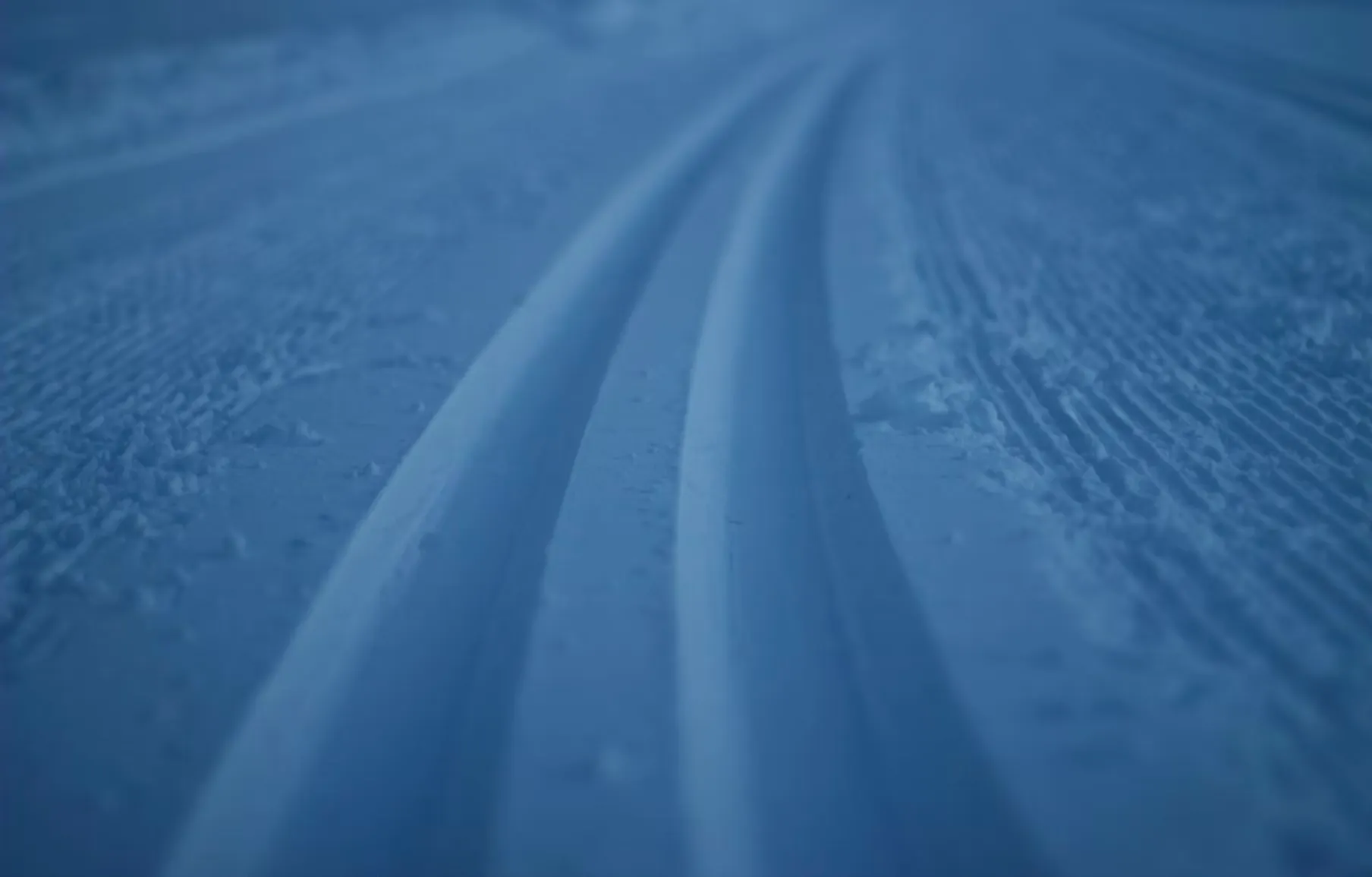 Alla studentrabatter hos Vasaloppet