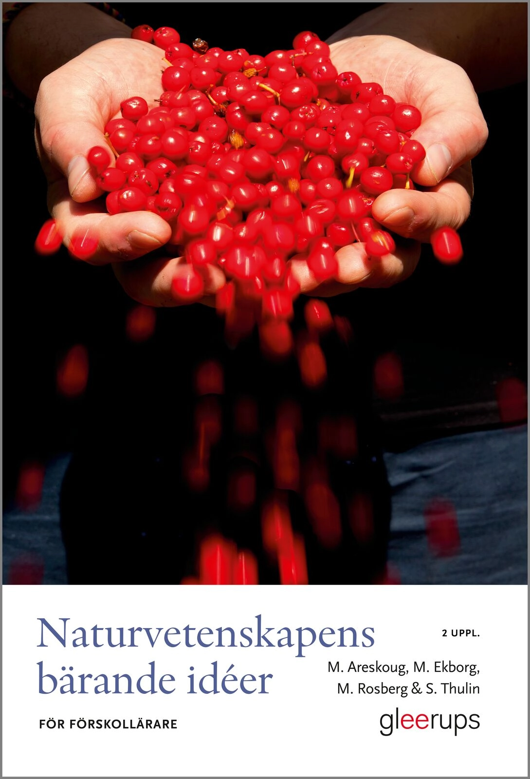 Naturvetenskapens bärande idéer för förskollärare; Mats Areskoug, Margareta Ekborg, Maria Rosberg, Susanne Thulin; 2020