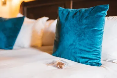 Studentrabatt i Norden, Thon Hotels