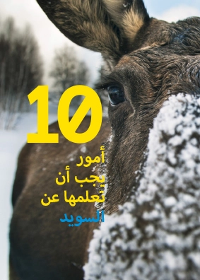 10 things to know about Sweden: arabiska 5-pack; Emma Randecker; 2015