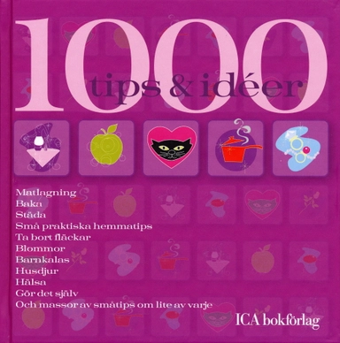 1000 tips & idéer; Jonas Larsson, Liselotte Froslin; 2005