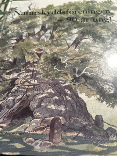 90 år ung! : Naturskyddsföreningen 1909-1999