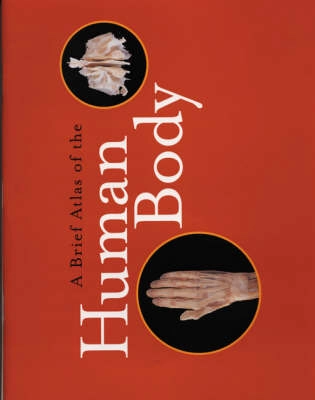A brief atlas of the human body; Matt Hutchinson; 2003
