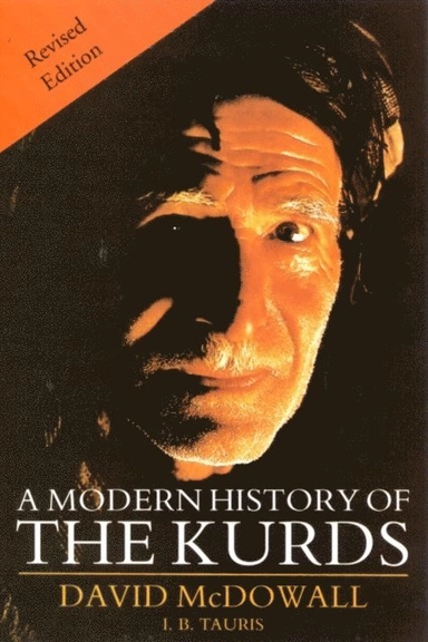 A modern history of the Kurds
