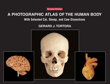 A Photographic Atlas of the Human Body: With Selected Cat, Sheep, and Cow D; Gerard J. Tortora; 2003