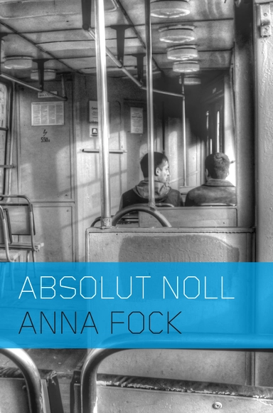 Absolut noll; Anna Fock; 2013