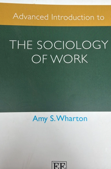 Advanced introduction to the sociology of work