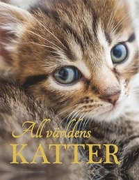 All världens katter; Nicola Jane Swinney; 2018