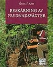 Alm Veltman/Beskärning av prydnadsväxter