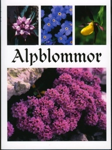 Alpblommor; Ewa Hellström-Boström; 2011