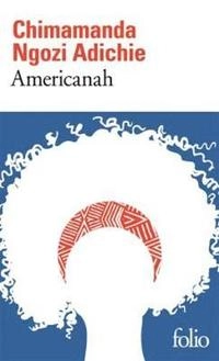 Americanah; Chimamanda Ngozi Adichie, Anne Damour; 2014