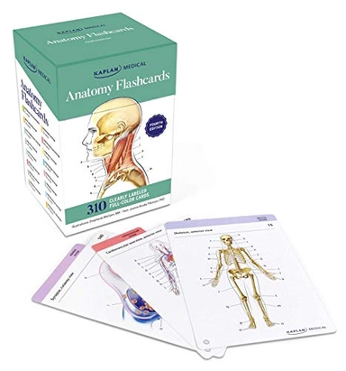 Anatomy Flashcards: 300  Flashcards with Anatomically Precise Drawings and Exhaustive Descriptions + 10 Customizable Bonus Cards and Sorting Ring for Custom Study; Joanne Tillotson; 2021