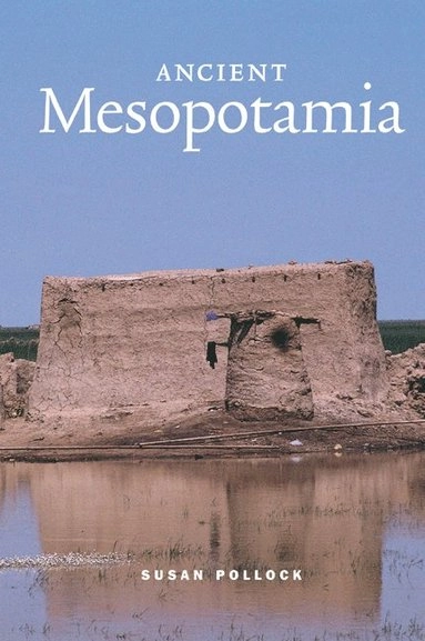 Ancient Mesopotamia : the Eden that never was; Susan Pollock; 1999