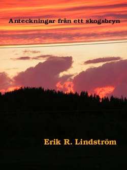 Anteckningar från ett skogsbryn : historier, stämningar och funderingar