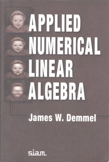 Applied numerical linear algebra; James W. Demmel; 1997