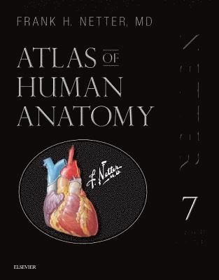 Atlas of human anatomy