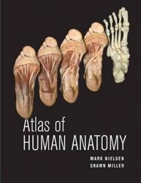 Atlas of Human Anatomy; Mark Nielsen; 2011