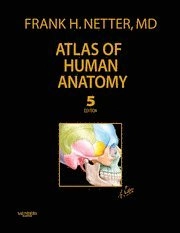 Atlas of human anatomy