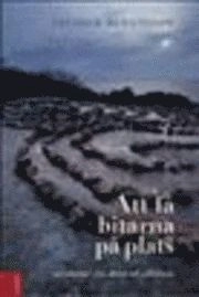 Att få bitarna på plats : om sökandet efter äkthet och självkänsla; Fredrik Bengtsson; 2005