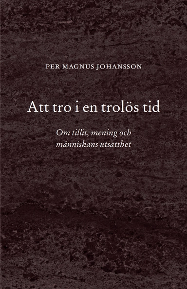 Att tro i en trolös tid : Om tillit, mening och människans utsatthet