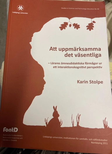 Att uppmärksamma det väsentliga : lärares ämnesdidaktiska förmågor ur ett interaktionskognitivt perspektiv; Karin Stolpe; 2011