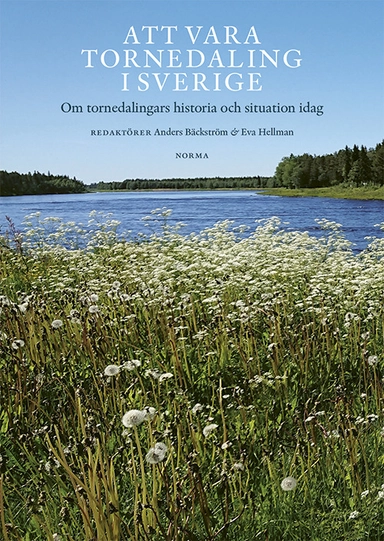 Att vara tornedaling i Sverige : om tornedalingars historia och situation idag