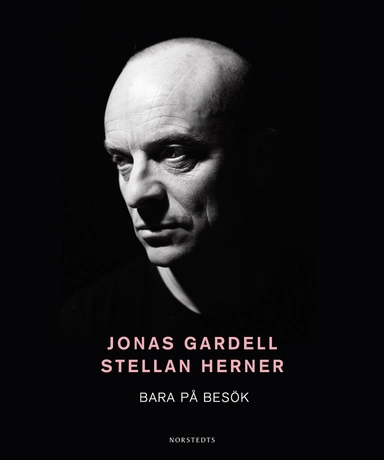 Bara på besök