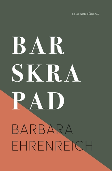 Barskrapad : konsten att hanka sig fram