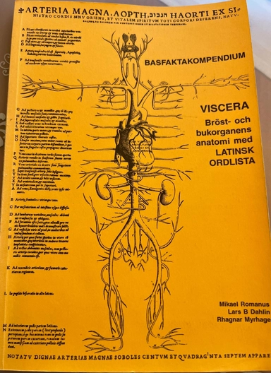 Basfaktakompendium · Viscera : bröst- och bukorganens anatomi med latinsk ordlista, 3