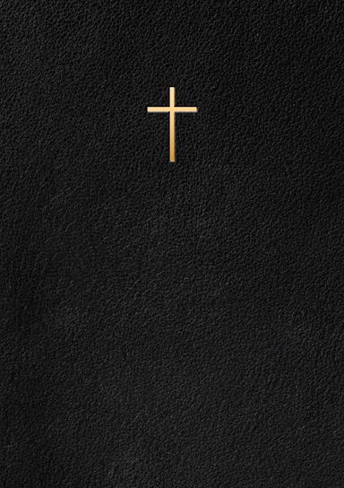 Bibel 2000 : Svart Konstskinn; 2024