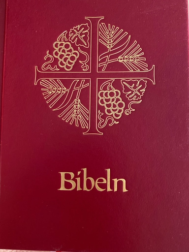 Bibel : Bibelkommissionens översättning : noter, parallellhänvisningar, uppslagsdel; 2004