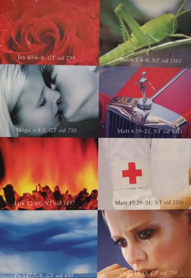 Bibel : Bibelkommissionens översättning : noter, parallellhänvisningar, uppslagsdel; 2004